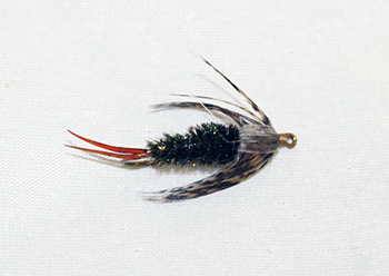 Stonefly 20 Incher Peacock for deep trout fly fishing