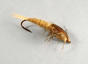 Stonefly 20 Incher heavy nymph for trout fly fishing