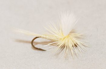 Cahill Light Parachute dry fly with pale cream body and parachute post imitating light mayflies.