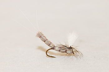 Extended body parachute Callibaetis fly designed for selective trout during hatches. Fly fishing flies