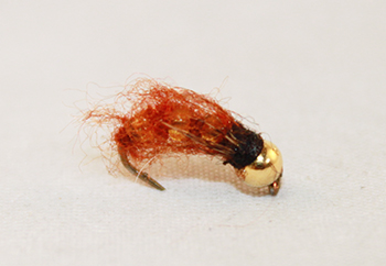 Caddis Pulsating Brown B.H. – Lively Caddisfly Imitation with Weighted Head - fly fishing flies