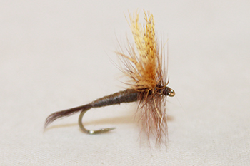 Hendrickson Dark dry fly for trout fishing during spring mayfly hatch - fly fishing flies