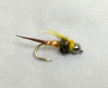Parley Stone B.H. nymph fly with segmented body, bead head, and buggy thorax. Fishing flies.