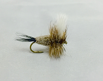 ADAMS IRRESISTIBLE WULFF