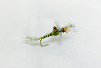 BLUE WING OLIVE CRIPPLE