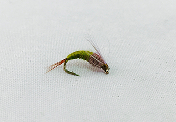 BWO Emerger – A Trusted fly fishing fly for Selective Trout