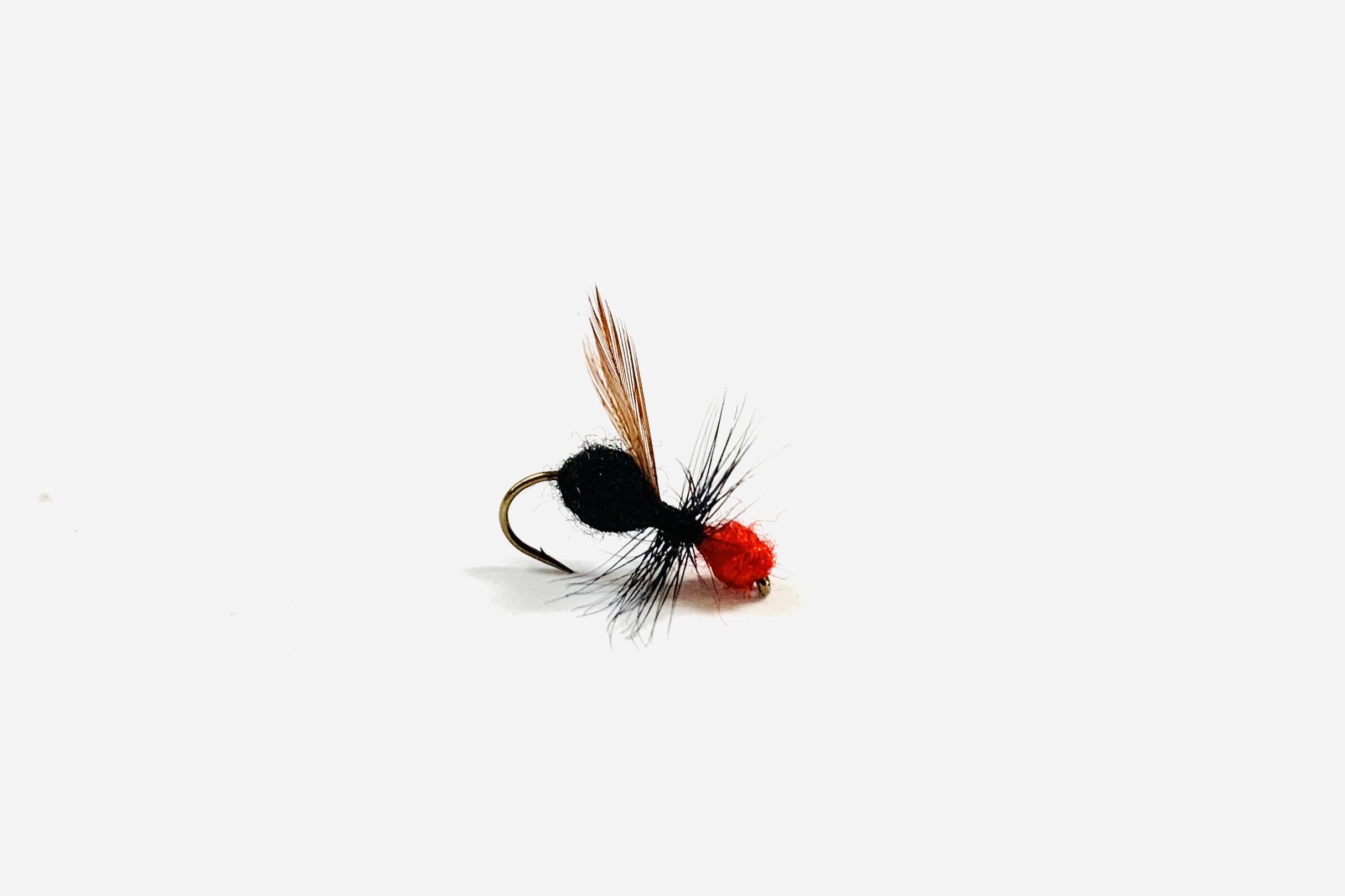 ANT FLYING - Image 3