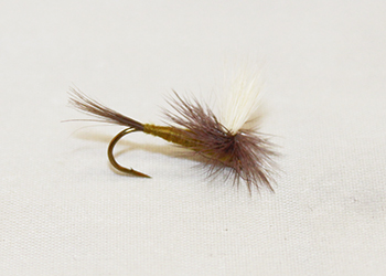 Blue Wing Olive Parachute dry fly with olive body, white parachute post, and divided tails. -fly fishing flies
