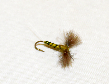 BWO CDC Spinner – Realistic Dry Fly for Blue-Winged Olive Spinner Stage. Fly fishing fly