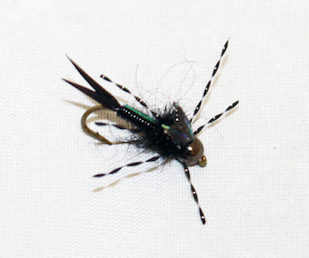 Element Hot Stone B.H. – Bright, Weighted Stonefly Nymph - discount fly fishing flies