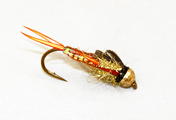 Stonefly Woven Body Brown Gold Tungsten nymph fly fishing flies