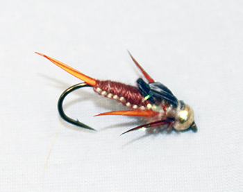 Woven tan stonefly tungsten nymph for trout fly fishing