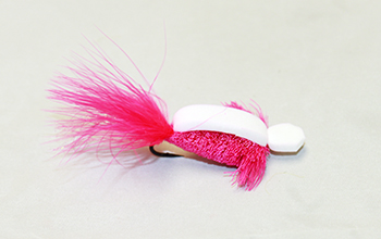 POLY WOG PINK FOAM BACK