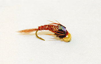Bead Head Pheasant Tail Flashback fly fishing flies imitating emerging mayflies and caddis.