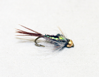 Pheasant Tail Flashback CDC Tungsten fly with natural fibers, flashback case, and tungsten bead.
