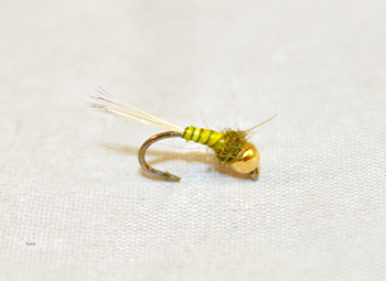 Quill Body BWO T.H. tungsten Blue Wing Olive nymph fly fishing flies