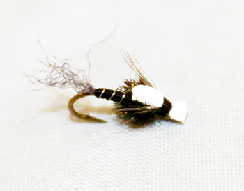 Black Midge Mayhem fly pattern with tungsten bead and flash for trout fly fishing