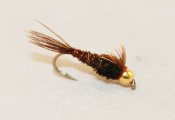 Pheasant Tail Tungsten fly with natural fibers and gold tungsten bead.