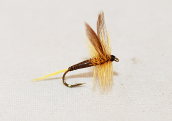 Quill Ginger dry fly with slim quill body, ginger hackle, and upright wing. Fly fishing flies.