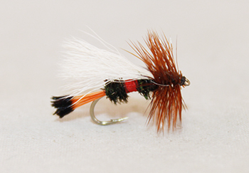Royal Trude dry fly with peacock body, red floss band, and white upright wing. Fishing flies.