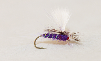Royal Wulff Purple Split Wing Parachute dry fly with purple body and upright split wings. Fishing flies.