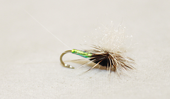 Trico Cote’s Trick Parachute fly with slim dark body, parachute post, and hackle for trout fishing.
