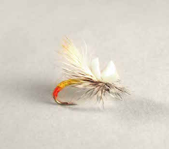 Stonefly imitation Yellow Sally Headlights for summer trout fishing. Fishing flies.