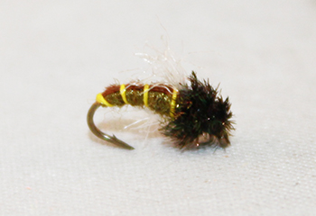 Caddis Z-Wing Olive – Realistic Caddisfly Pupa for Subsurface Drifts - fly fishing flies