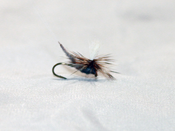 MAYFLY EXT BODY PARACHUTE