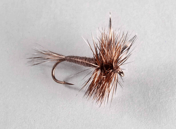 Adams Mayfly