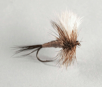 Adams Wulff mayfly imitation dry fly pattern - fly fishing flies