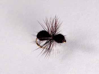 ANT FUR