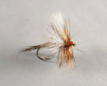 Ausable Wulff dry fly with rusty-orange body, calf tail wings, and bushy hackle for trout fishing.