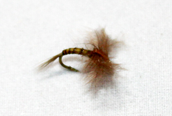Batt Wing Emerger Fly Fishing Flies – Subtle and Lifelike for the Surface Transition