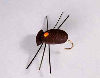 Beetle Terrestrial Fly Fishing Pattern - flies for fly fishing