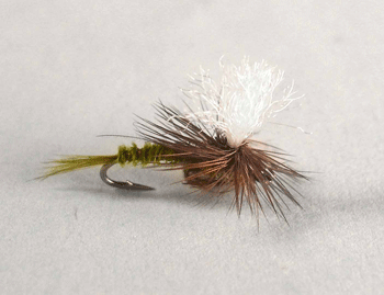 BWO EMERGER PARACHUTE