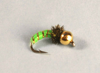 CADDIS LIME TUNGSTEN