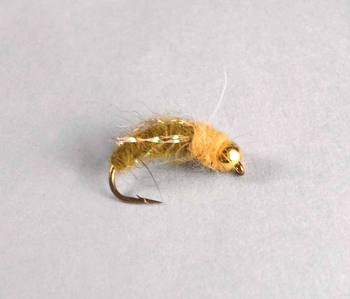 CADDIS SPARKLE OLIVE B.H.