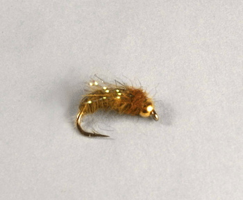 Caddis Sparkle Olive Tungsten fly with slim olive body, flash fibers, and tungsten bead.