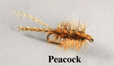 Callibaetis Nymph fly features a peacock herl body. Fishing flies.