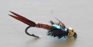 Trout fishing nymph – Copper John B.H. designed for fast sink and effective subsurface presentation. - fly fishing flies