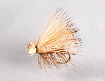 elkcadolv Elk Hair Caddis