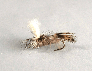Caddis EZ pattern designed to ride high on the surface for trout fishing- fly fishing fly