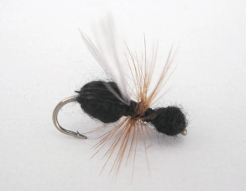 Flying Ant dry fly with dark segmented body and clear wings, imitating winged ants for trout fishing.