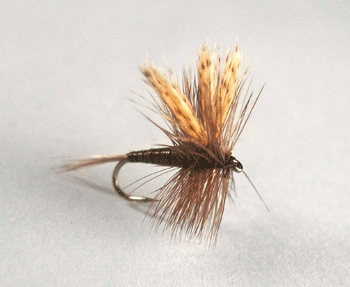 Quill Gordon dry fly with quill-wrapped body, upright wings, and hackle for spring trout hatches.
