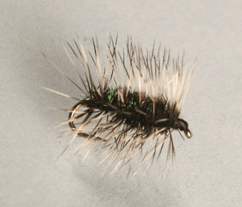 Classic Griffith’s Gnat pattern floating high during a midge hatch for trout. Fly Fishing Flies