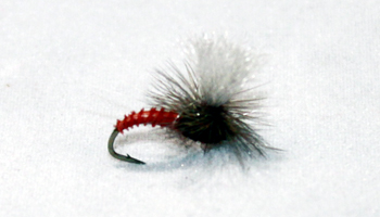 Mahogany GT Parachute dry fishing fly for trout fishing during fall mayfly hatches