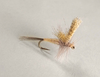 Hendrickson Light dry fly with light body, upright wings, and split tails for spring trout hatches.