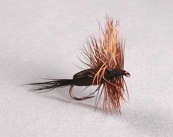 Humpy pattern is a big buoyant fly pattern - fly fishing fly