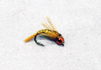 Hunch Back Bead Head fly fishing fly with curved profile and tungsten bead for trout fishing